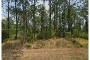 5112 Manati Ave., Sebring