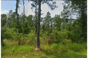 5115 Levante Dr., Sebring