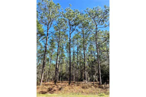 Lot 10 Sw 135 Terr, Ocala