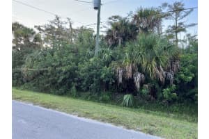 2521 Ne 20th Avenue, Naples