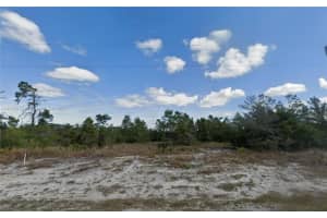 624 Ne Aleutian St, Lake Placid