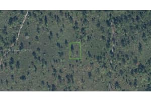 7732 San Amaro Dr, Sebring