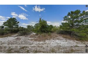 341 Ne Galapagos Ave, Lake Placid