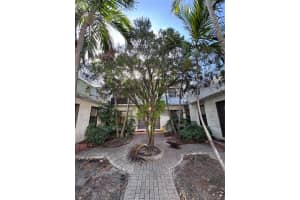 2000 Monroe St 5, Hollywood