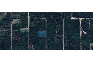 2844 W Twilley, Avon Park