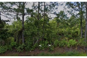 1008 Nw Concorde Pkwy, Lake Placid