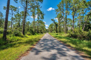 8176 Mantua Ave, Sebring