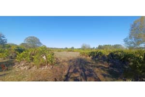 14665 Arbuckle Creek Rd, Sebring