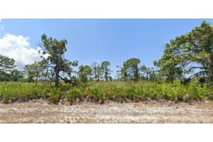 11 Betty Ct, Port Charlotte