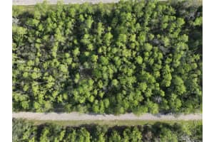 598 E Marquette Ln, CITRUS SPRINGS 598 E Marquette Ln, CITRUS SPRINGS