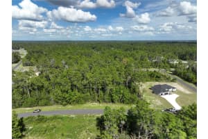 0 Undetermined, Ocala