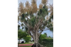 853 Sw 3rd St, Florida City