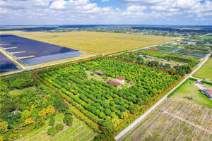 22220 Sw 248th St, Homestead 22220 Sw 248th St, Homestead