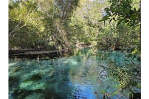 7505 Jomel Drive, Spring Hill 7505 Jomel Drive, Spring Hill