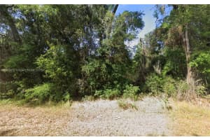 Tbd Oak Circle, Ocala Tbd Oak Circle, Ocala