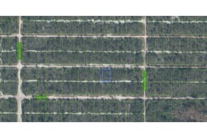 617 Parrot Ave, Sebring 617 Parrot Ave, Sebring