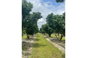 340xx Sw 217 Ave, Homestead