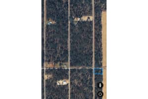 Lots 1.2 Nw Buena Vista Rd, Ocala