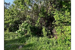 Lot 6 San Diego Ave, Fort Pierce Lot 6 San Diego Ave, Fort Pierce