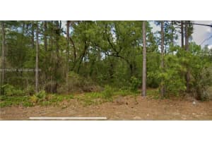 8550 N N Citrus Springs Blvd, CITRUS SPRINGS