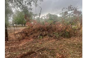 17 Rosevelt Ave, Lehigh Acres