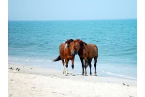 12570 Sw 45th St, Miami