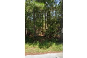 1062 Se Barbados Ave, Palm Bay