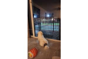 8801 Wiles Rd 208, Coral Springs 8801 Wiles Rd 208, Coral Springs