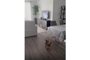 3300 Ne 192nd St 906, Aventura