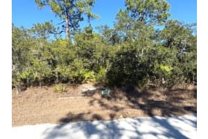 3221 N Dahlia, LAKE PLACID