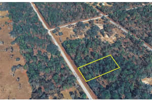 000 Rainbow Lakes Estates, DUNNELLON