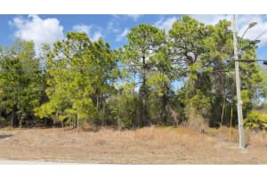 803 E Colyer St, Lehigh Acres