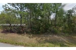 6182 N Buckland Dr, Citrus Springs