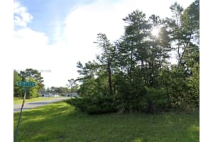 Tbd Sw 55th Ct, Ocala