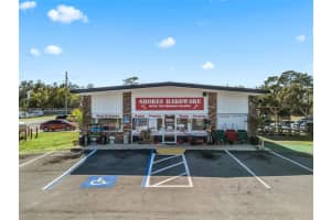 9594 Se Maricamp Road, Ocala