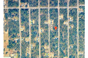 206 Sw Tree Top Road, DUNNELLON