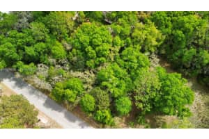 Lot 29 Nw 120th Ave, Ocala
