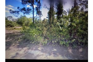 306 Tyrone Ave, Lehigh Acres