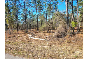 No Situs Nw Shamrock Ave, DUNNELLON No Situs Nw Shamrock Ave, DUNNELLON