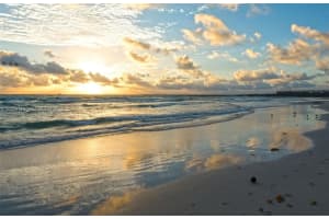185 Ocean Blvd, Golden Beach