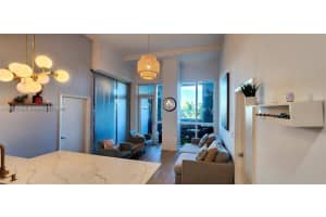 244 Biscayne Blvd 301, Miami 244 Biscayne Blvd 301, Miami