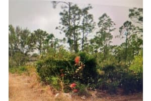 27183 N Twin Lakes Dr, Punta Gorda