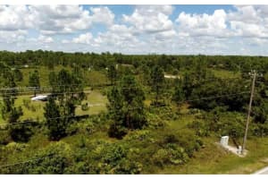 303 E 10th St, LEHIGH ACRES