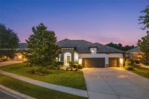 17425 Varona Place, Lutz 17425 Varona Place, Lutz