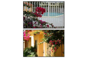 1100 Sw 104 Ct 203, Miami 1100 Sw 104 Ct 203, Miami