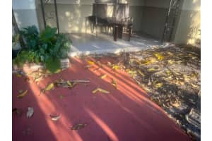 505 N 20th Avenue 2, Hollywood 505 N 20th Avenue 2, Hollywood