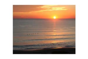 5050 Bayview Drive 6, Fort Lauderdale