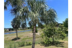 7021 Environ Boulevard 317, Lauderhill