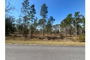 Tbd Nw Water Oak Avenue, Fl 34431, Dunnellon Tbd Nw Water Oak Avenue, Fl 34431, Dunnellon