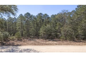 0000 Se 130th Court, Dunnellon